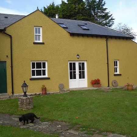 The Homecoming Barn Clogher Экстерьер фото